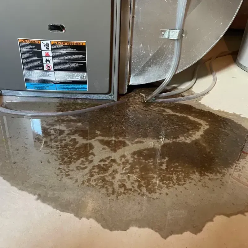 Appliance Leak Cleanup in Chester County, SC